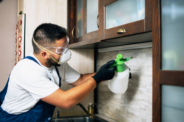  Iron Mountain, MI Pest Control Pros