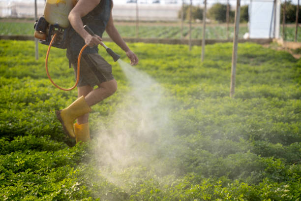 Best Pest Control Treatment  in Iron Mountain, MI