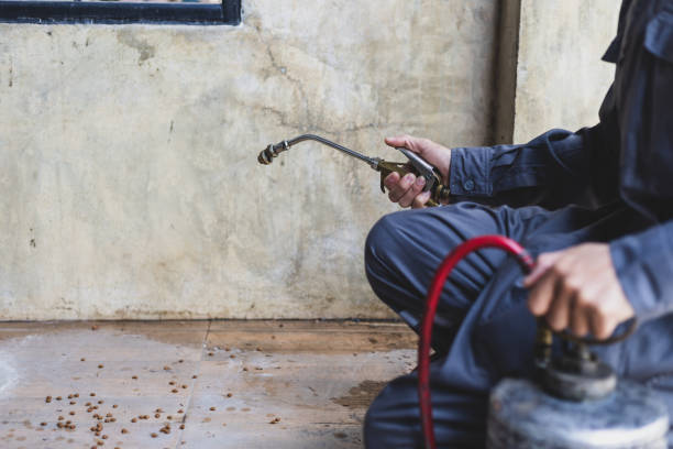 Best Affordable Pest Control Services  in Iron Mountain, MI